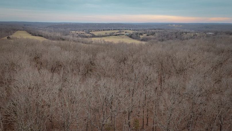 DJI_20260225060525_0024_D