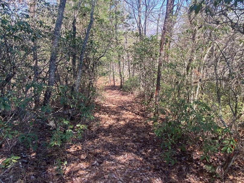 Cherokee 69.74 Stiles-30