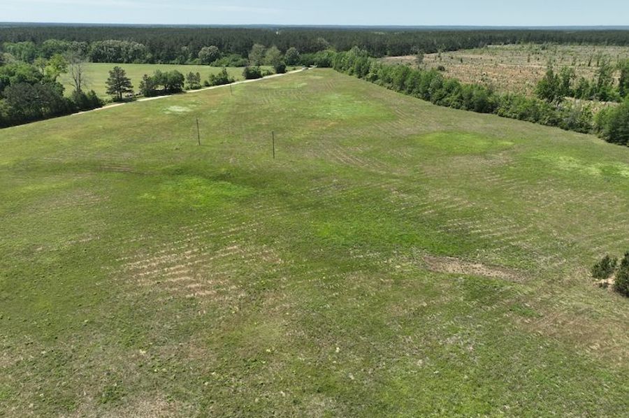 dji_fly_20250416_144144_156_1744908693268_photo