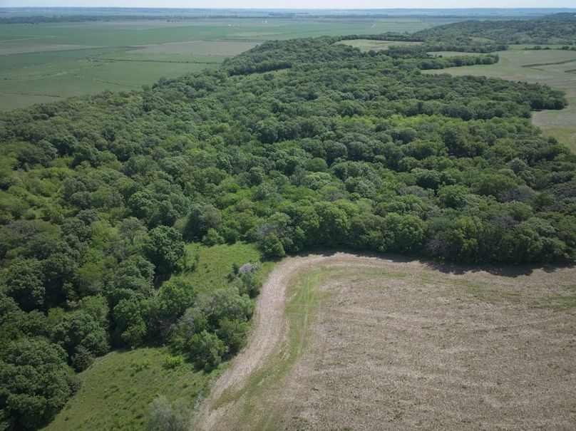 DJI_20250531111420_0016_D