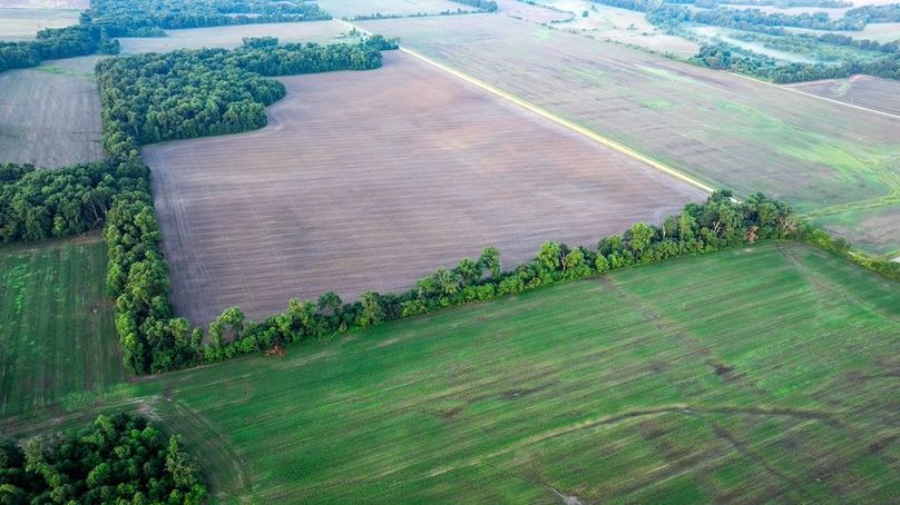 Copy of DJI_20250703170609_0005_D