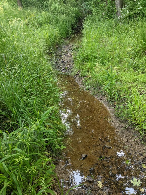 PXL_20230602_130251803