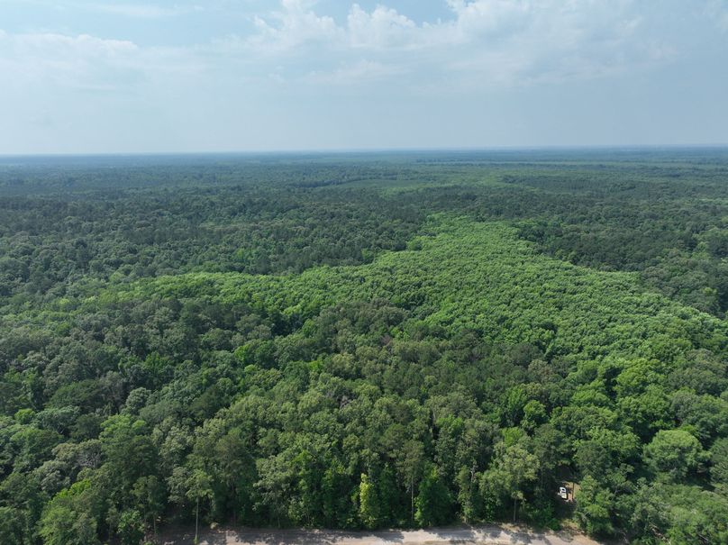 dji_fly_20230530_111342_125_1685483444968_photo