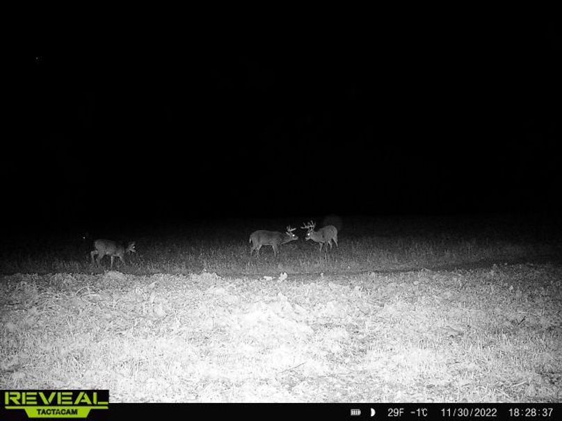 865814048775314-100-4-11302022182838-W1000083