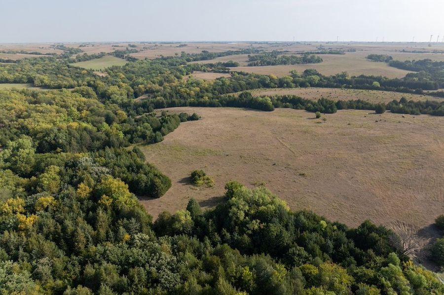 20240913-DJI_20240913094955_0007_D