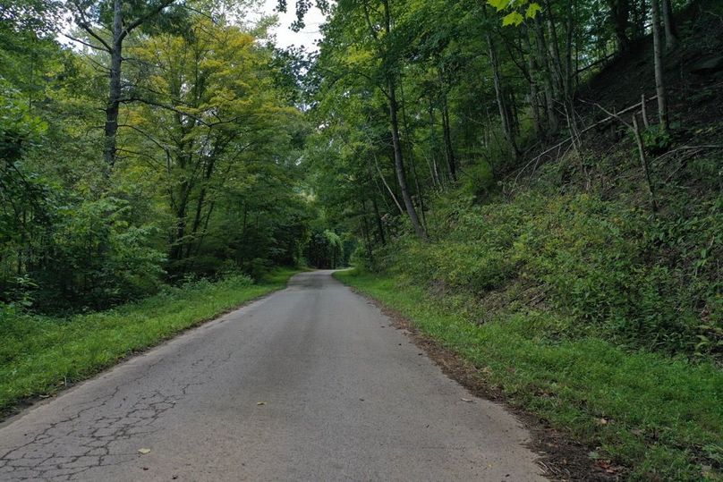 016 the county road leading through the property