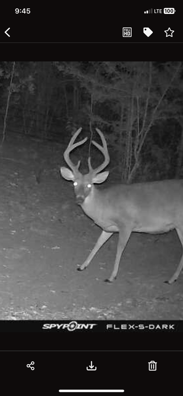 New Trail Cam 6