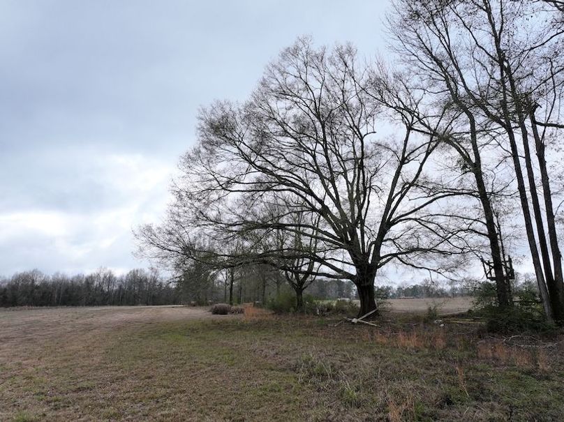 dji_fly_20260122_130928_0881_1769444803249_photo