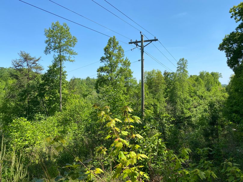006 the uncleared area under the service line leading about the property copy