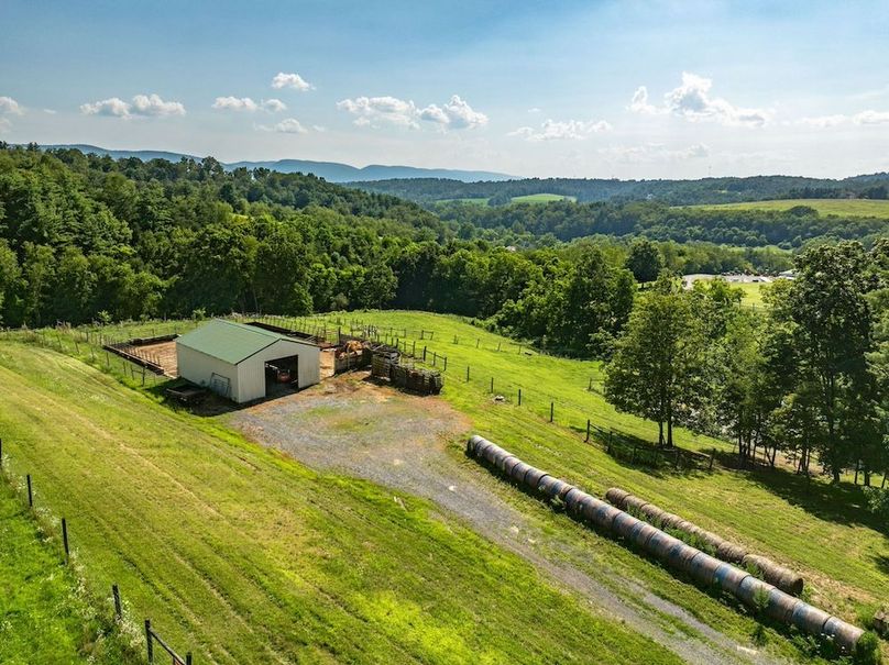 13-web-or-mls-IMG-11