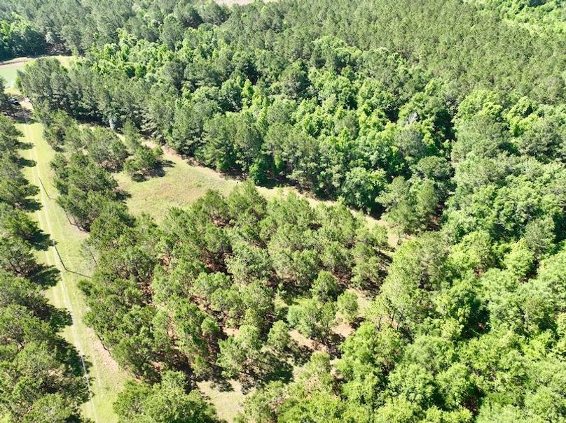 dji_fly_20260514_103320_705_1778769331423_photo