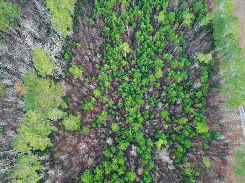 dji_fly_20251204_185432_986_1766581611035_photo