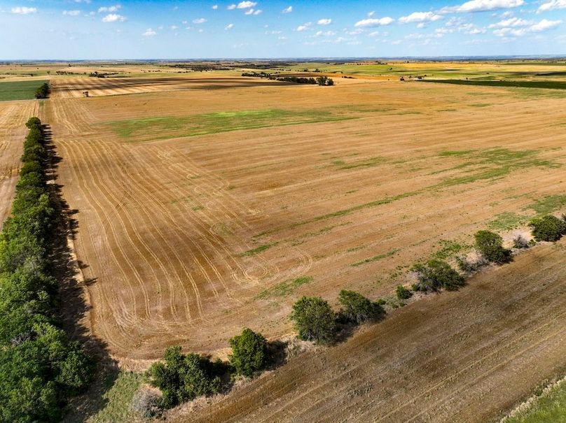 Mitchell Ks, 166.78_009