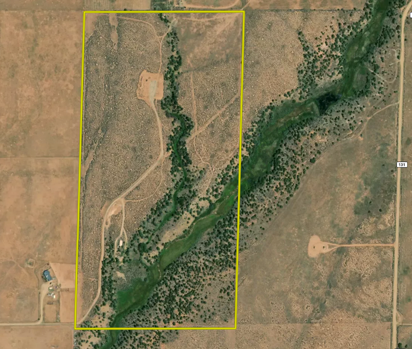 Screenshot 2024-08-12 at 10.21.20 AM