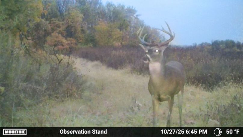 Fleming Petry 115-69