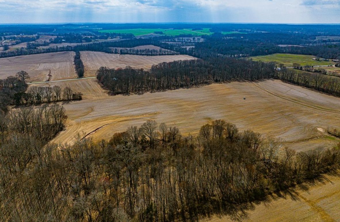 Gibson 140.5 Neese-McGuire-4