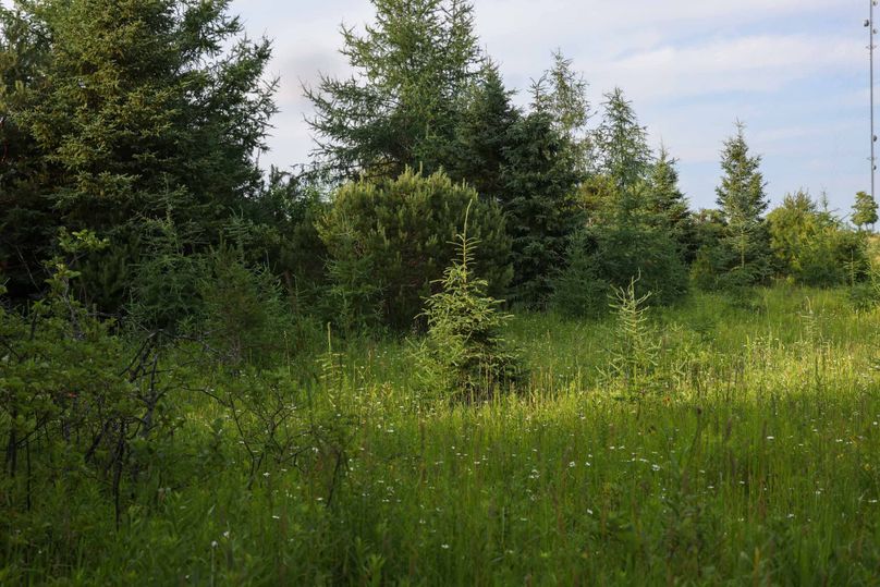 Mackinac20Fewins-6110