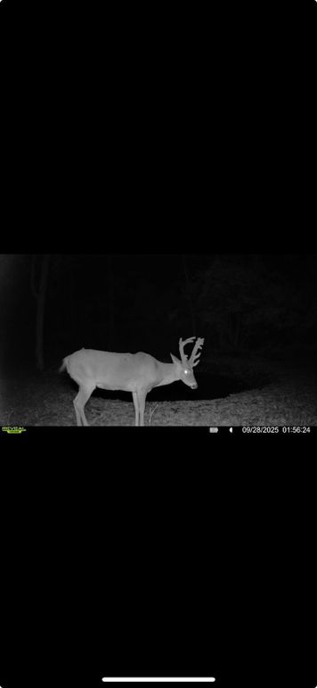 Screenshot 2026-01-06 at 4.34.58 PM