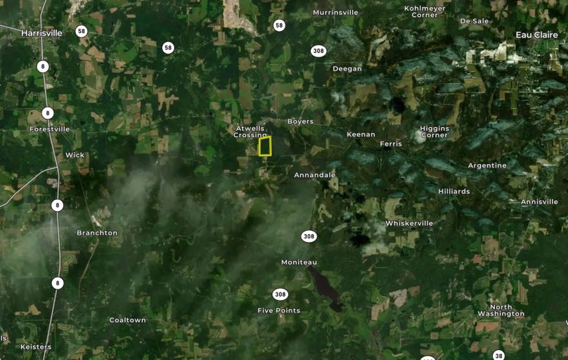 Screen Shot 2023-03-08 at 9.49.05 AM