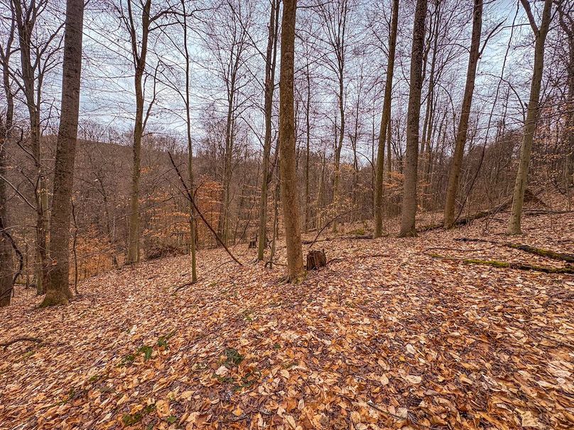 Tyler, WV 90 AC Burkhart-11