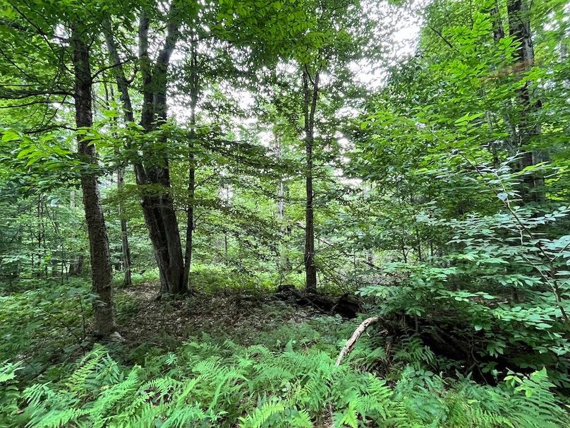 Oswego_133.72_Middleton_Photos_36