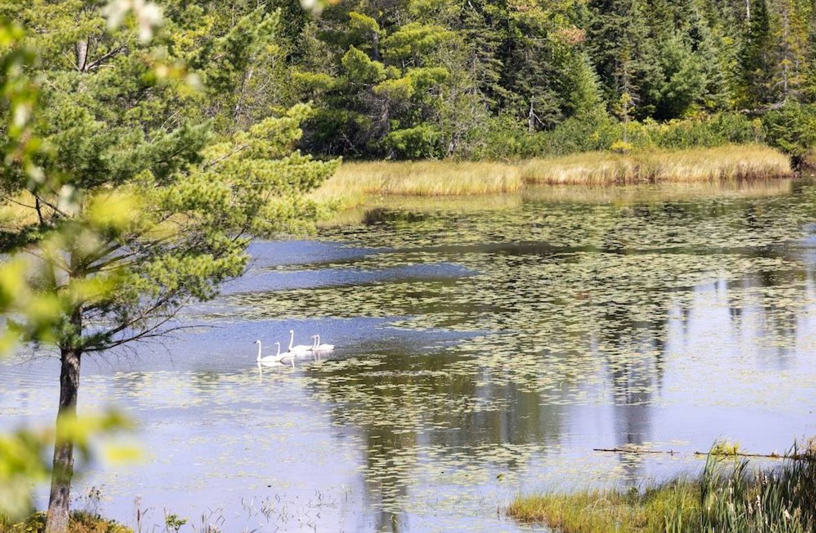 Mackinac 320 Copenhaver-2