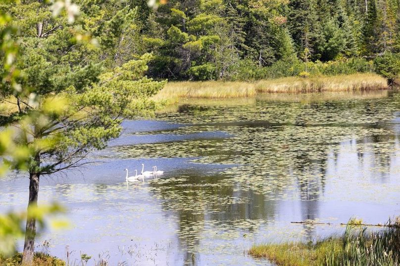 Mackinac 320 Copenhaver-2