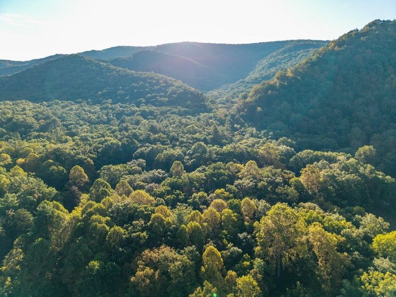 Copy of DJI_20250912084756_0052_D Large