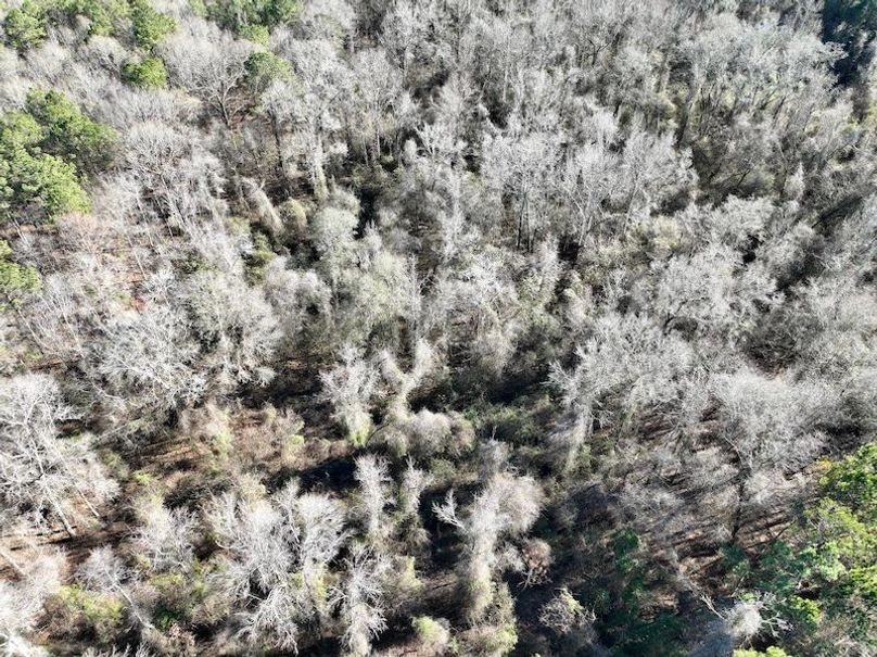 dji_fly_20260115_144342_138_1768507024831_photo