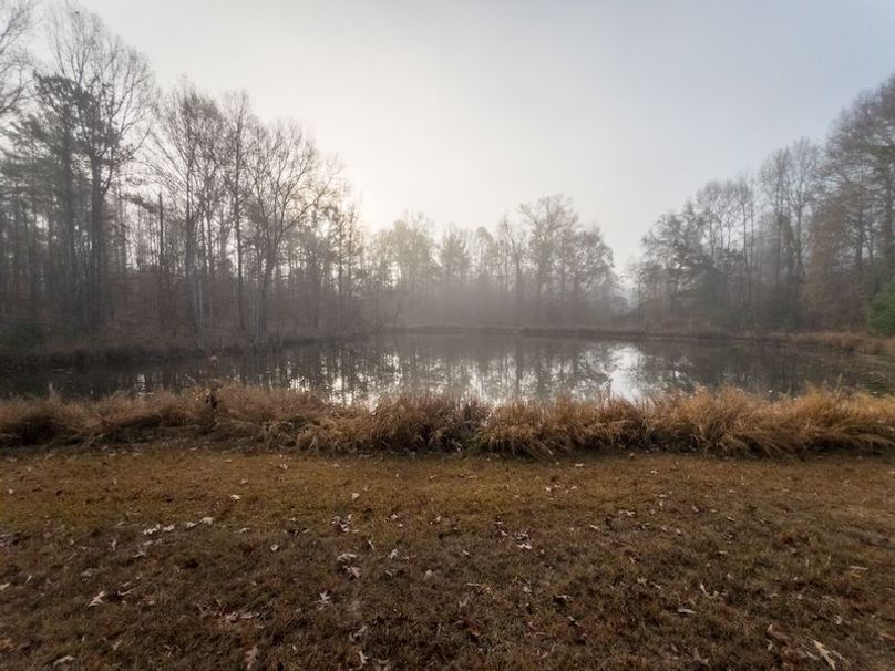 Claiborne Co - 274 - Marian-104