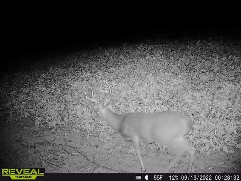 865519049947982-90-4-09162022002832-W1000892