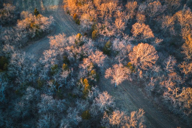 DJI_20260121165206_0509_D