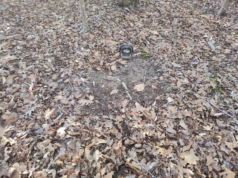 IMG_20240302_165940041