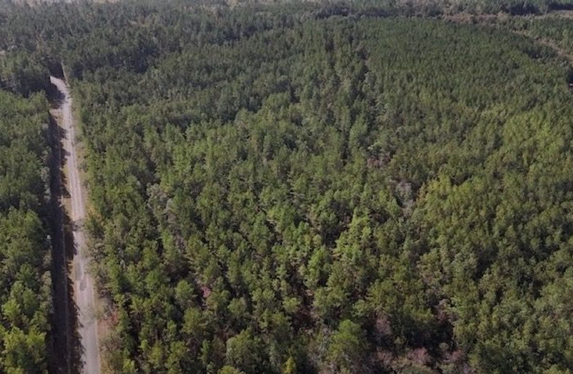 DJI_20231026100839_0002_D