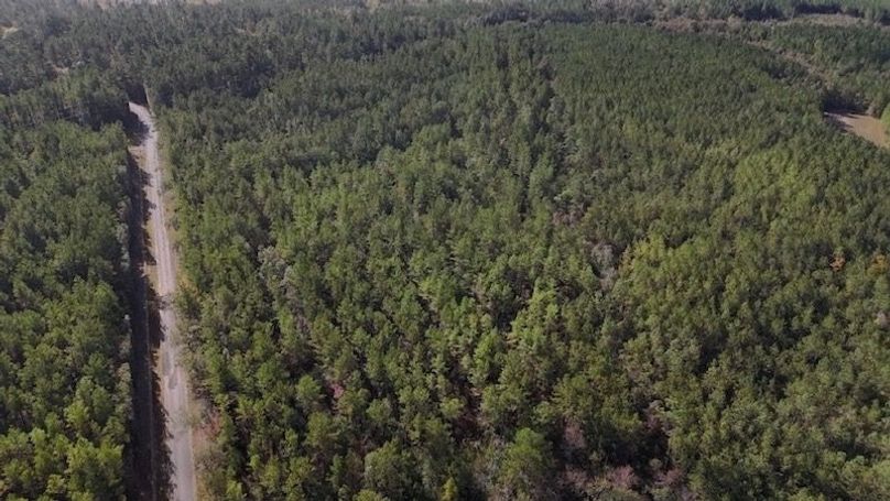 DJI_20231026100839_0002_D