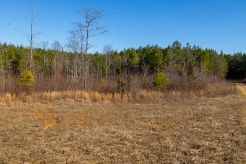 MCKINNON TRACT 15-04