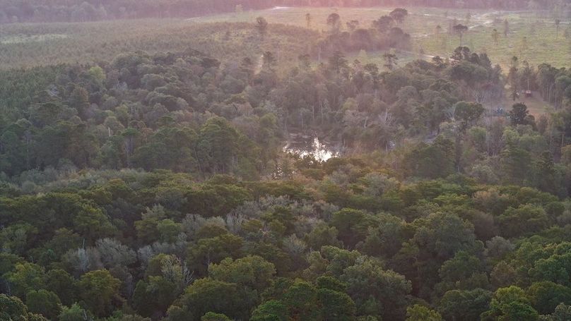 DJI_20250918070711_0025_D