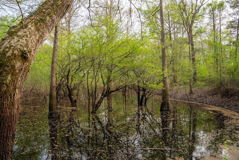 Copy of 74 Marion TX 143 and 117 Featured_ProPhoto-11