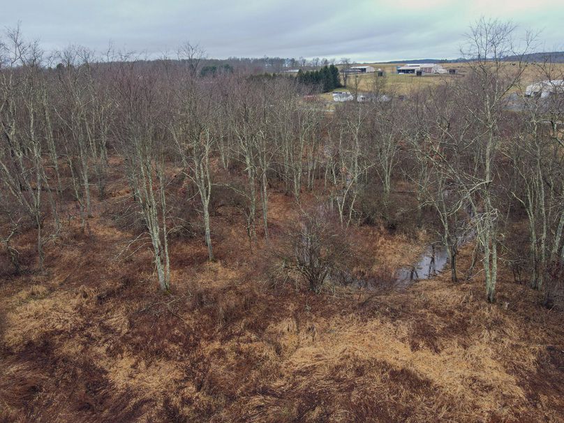 dji_fly_20240127_081302_775_1706361500958_photo