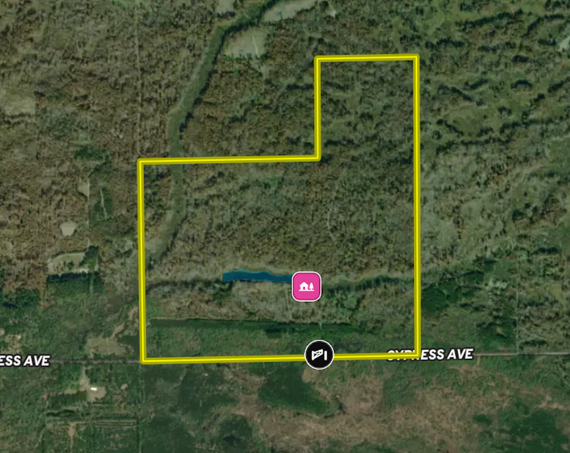 Screenshot 2025-12-29 at 12.49.03 PM