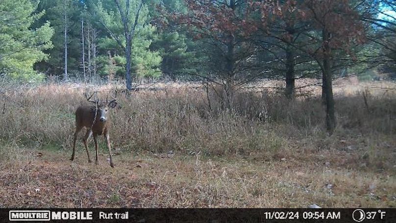 Temp_731870-20241102170557-20241102095402_005008