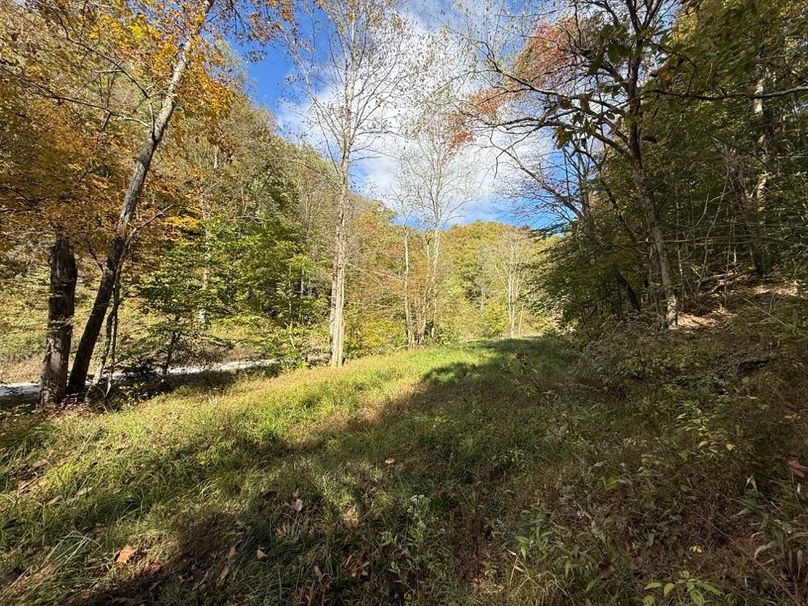 021 small field area in the east part of the property
