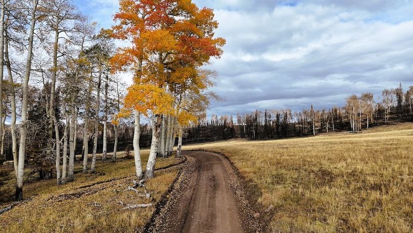 DJI_20250927092918_0195_D