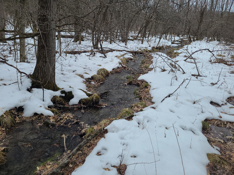 photo_bfd6fc61-9de3-47d0-af29-022a79636323