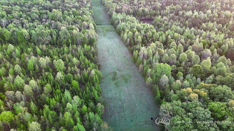 Hinds Co - 51 - Hughes-65