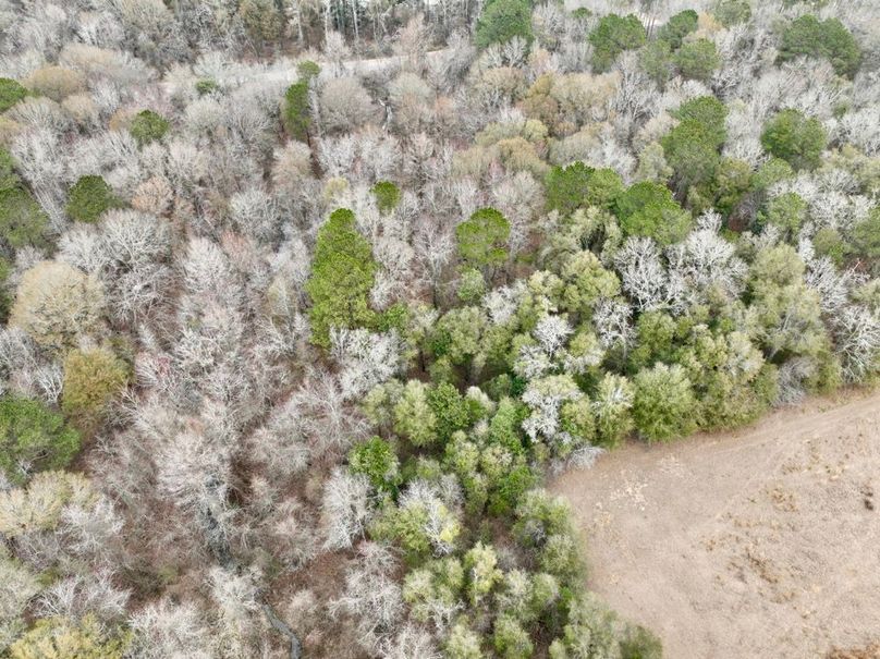 dji_fly_20260210_114058_260_1770741980778_photo