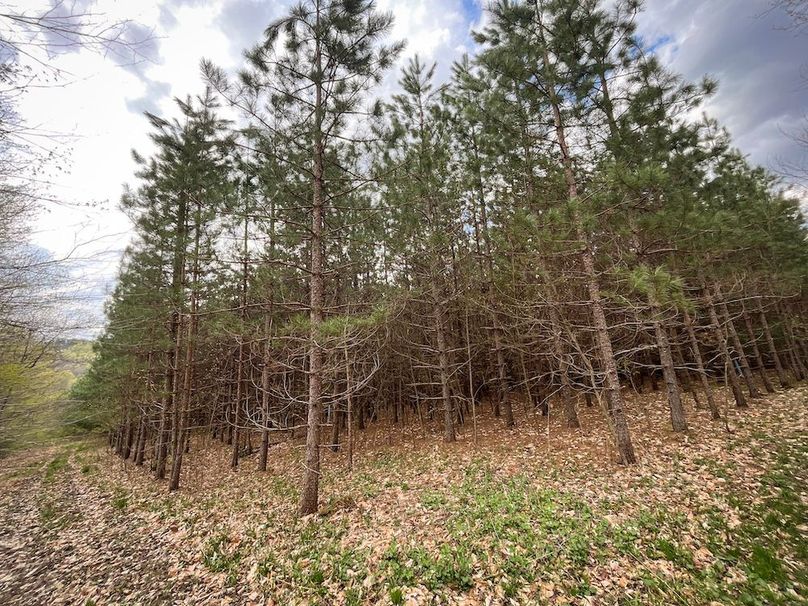 Tioga_76.65_Matyjas_Photos_14