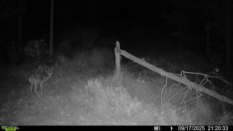 016578004709009-61-4-09172025212033-SYFW01159