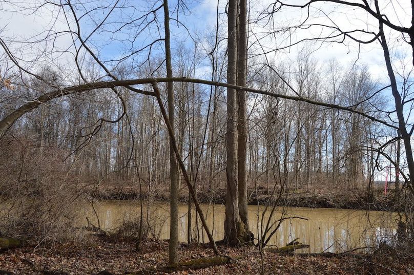 looking across the river on south edge