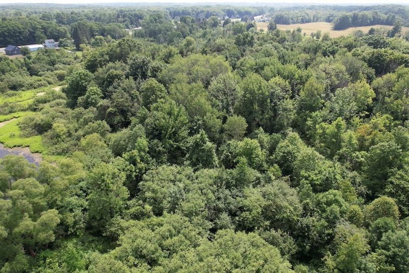 Oswego_13.95_Moore_Bush_Photos_30